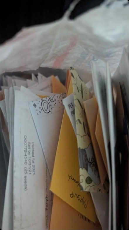 Photo of free veggie/fruit/grain seeds (North Lakewood 98499) #1