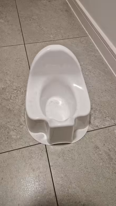 Photo of free Potty Seat, barely used (Chelmsford CM1) #4