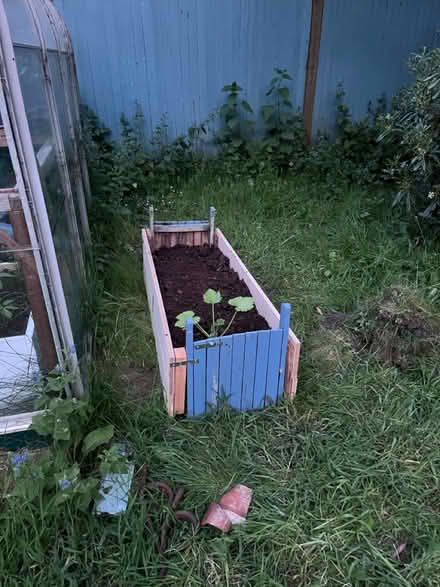 Photo of Anything I can use for a planter (SW9) #2