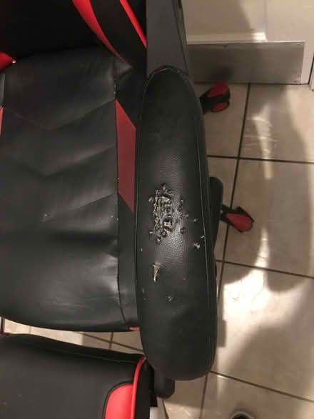 Photo of free Gaming chair (San Pedro) #2