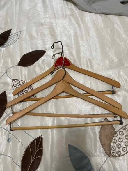 Photo of free Wooden hangers (Near Busse and Golf) #1