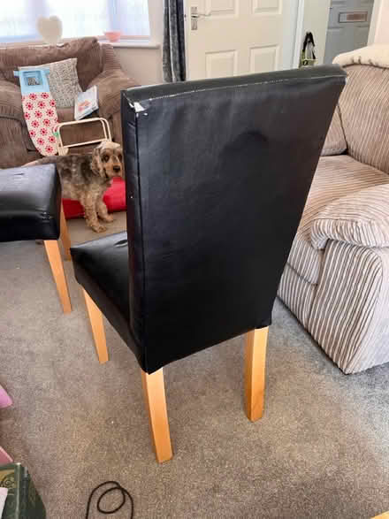Photo of free Dining Chairs (Annesley NG15) #2