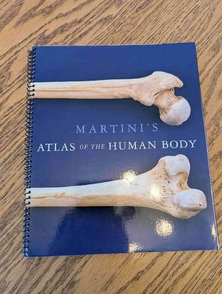 Photo of free Anatomical atlas (Rawdon LS19) #1