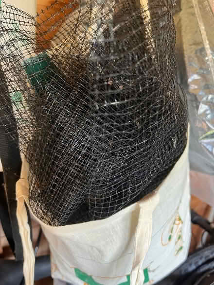 Photo of free Garden/crop netting (Long eaton NG10) #1