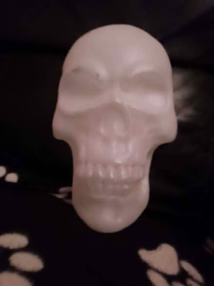Photo of free Plastic skull with light (Eastbourne BN21) #3