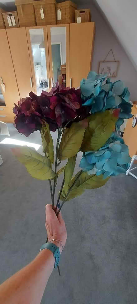 Photo of free Faux hydrangeas (Fleetville) #1
