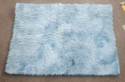 Photo of free Large rug (Rushden) #1