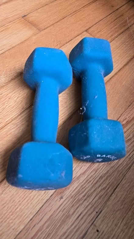 Photo of free 5 pound weights (Ulster Park) #1