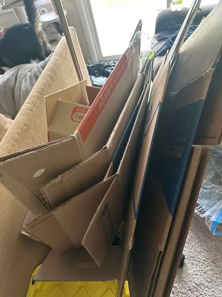 Photo of free moving boxes (laurel) #1