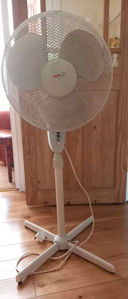 Photo of free Fan (Silverhill TN37) #1