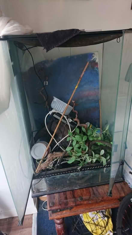 Photo of free Vivarium (Dyke road Brighron) #3