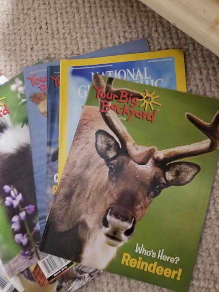 Photo of free Animal magazines for kids (Near Bolingbrook High School) #1