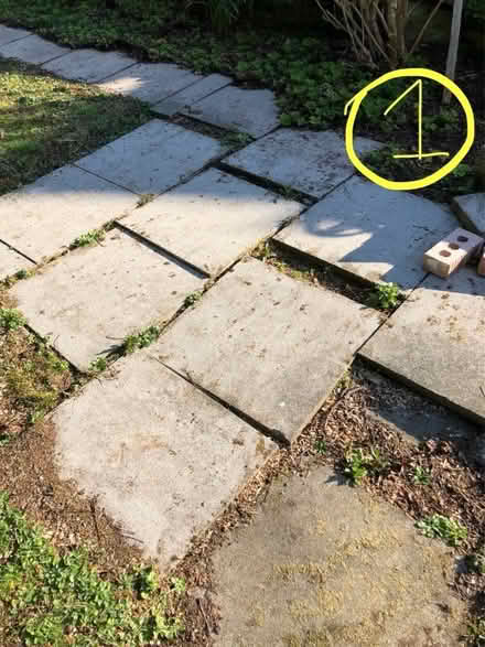 Photo of free 40+ garden slabs (Seedhill PA2) #1