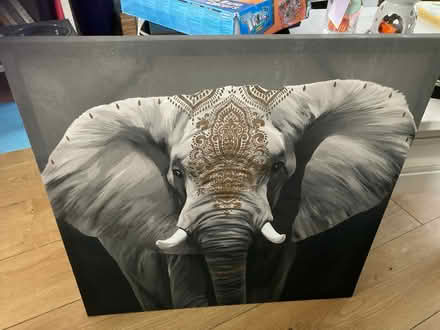 Photo of free Large square Elephant canvas (NE5 4ED) #1