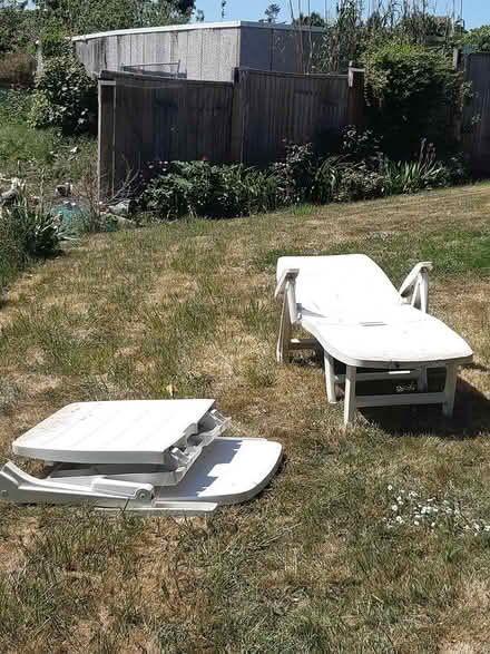 Photo of free Two plastic, fold up sun loungers (Harrold. MK43) #1