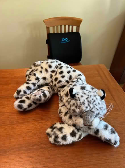 Photo of free Snow Leopard Puppet - Folkmanis (Midtown Palo Alto) #1