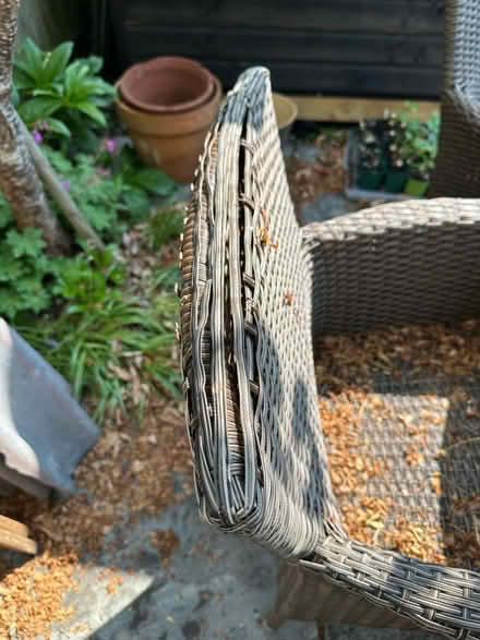 Photo of free Outdoor Ratan table and chairs (Old Basing RG24) #3