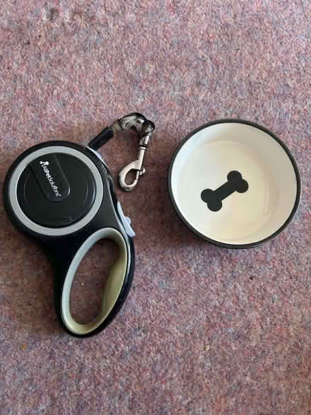 Photo of free Dog lead and bowl (OX4) #1