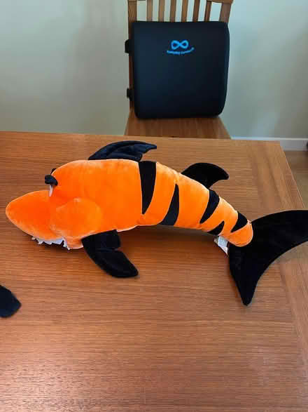 Photo of free Plush "Tiger Shark" (Midtown Palo Alto) #1