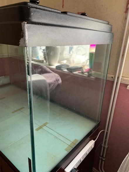 Photo of free Fish Tank Aquarium (Coombe Dingle BS9) #3