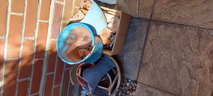 Photo of free Crocks (Fleetville) #1