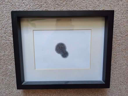 Photo of free Framed picture 2 (Surrenden BN1) #1