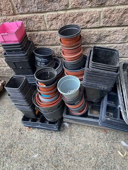 Photo of free Various plant pots and seedtrays (BA11) #2
