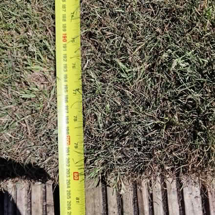 Photo of free Turf (Moresby Parks CA28) #3