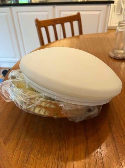 Photo of free Mop & Light Fixture (Columbia) #1