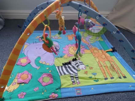 Photo of free Animal-themed baby activity mat (West Haddon NN6) #1