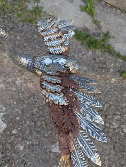 Photo of free Ornamental Bird (Dunkerton BA2) #2