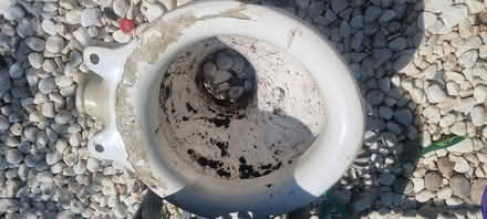 Photo of free Old ceramic toilet bowl (Hailsham BN27) #2