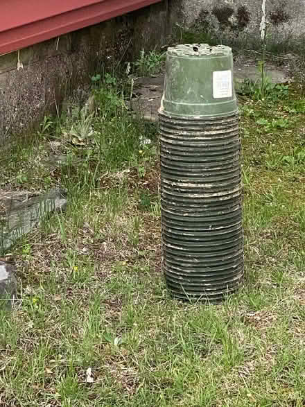Photo of free Plastic Flower Pots (dunstable) #1