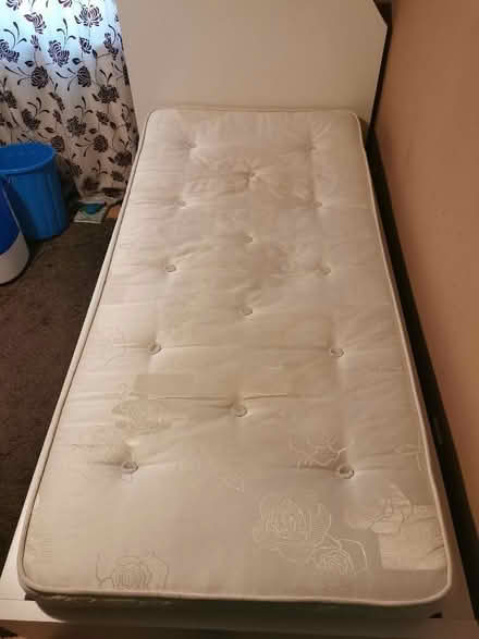 Photo of free Single mattress (Salhouse NR13) #1