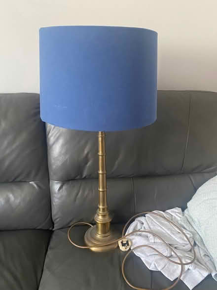 Photo of free Large brass lamp with shade and bulb (Southdown) #1