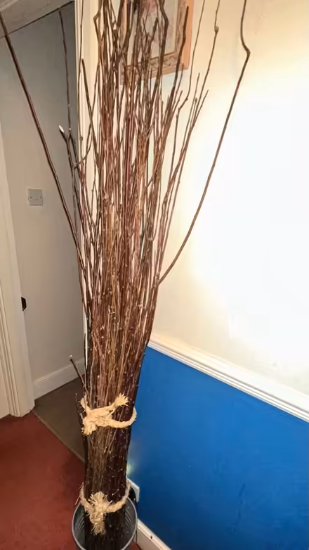 Photo of free Decorative Twigs (Worle BS22) #1