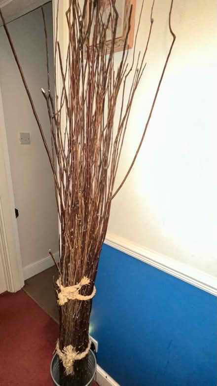 Photo of free Decorative Twigs (Worle BS22) #1