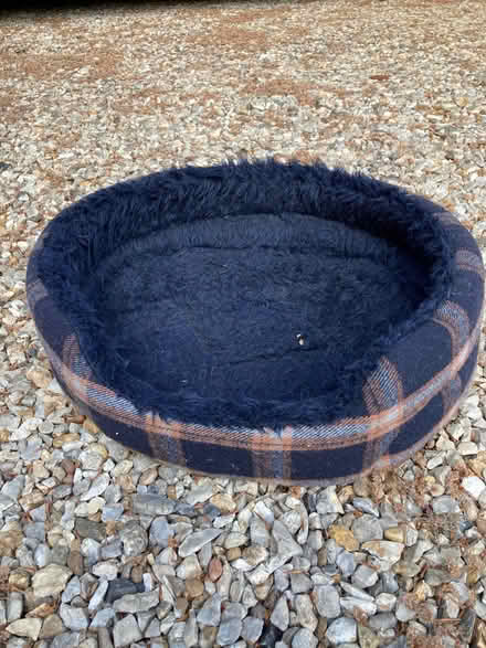 Photo of free Cat bed (Catton NR6) #1