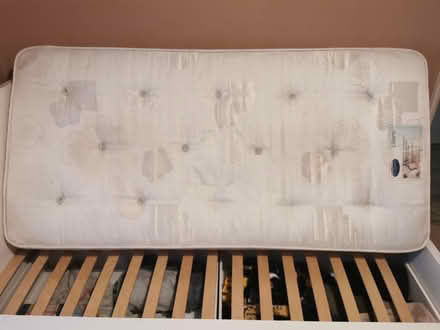 Photo of free Single mattress (Salhouse NR13) #2