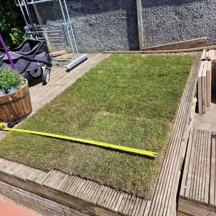 Photo of free Turf (Moresby Parks CA28) #1