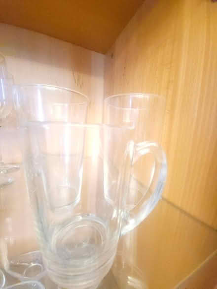 Photo of free To go together looking for good home (West Drayton UB7) #4