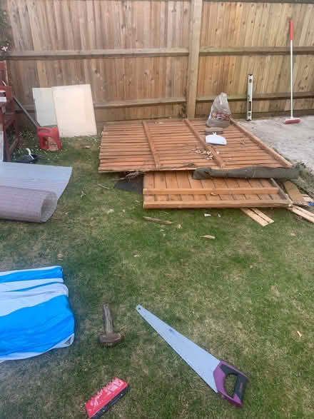 Photo of free Panels and wood from old shed (Temple Cowley OX4) #2