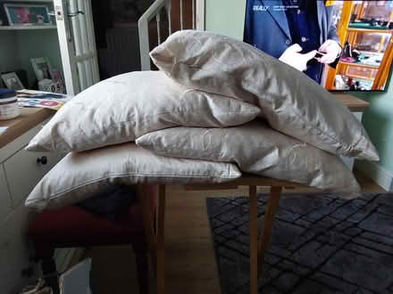 Photo of free 4 Cushions (ME12) #1