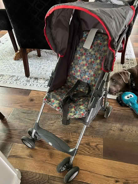 Photo of free umbrella stroller (New Hudson) #4