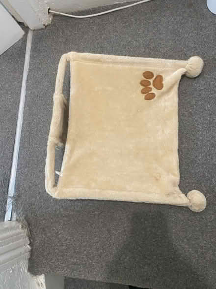 Photo of free Cat Hammock (ME5 Chatham) #1