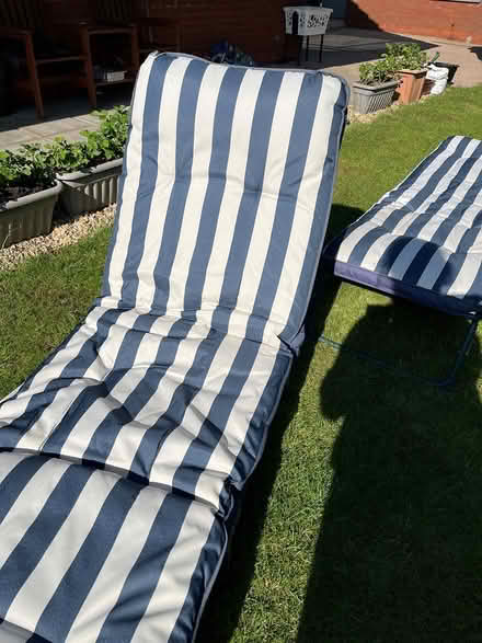 Photo of free 2 Sun loungers (Abertridwr CF83) #2