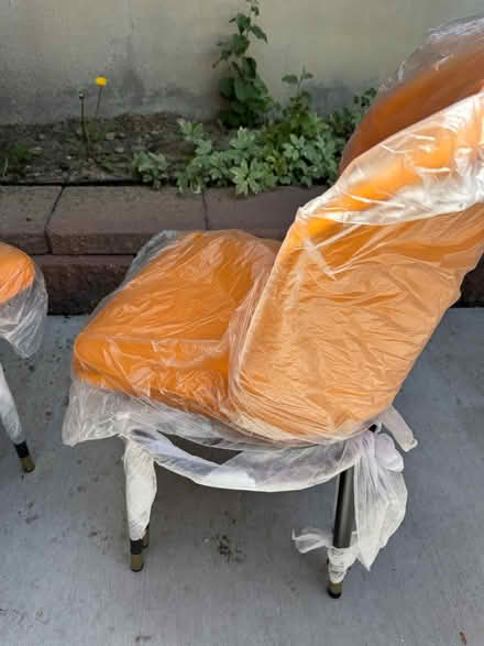 Photo of free 4 new dining chairs (Lafayette) #4