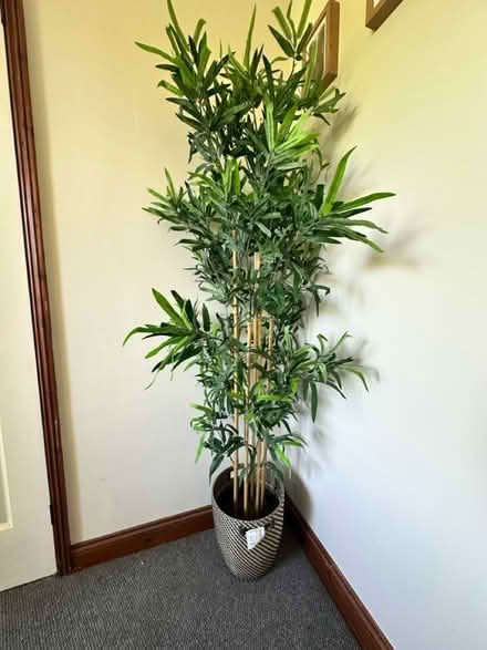 Photo of free IKEA artificial bamboo and pot (So19 9ah) #1