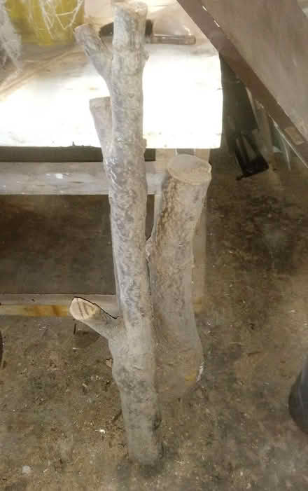 Photo of free Laburnum for Wood Turning (Higher Bebington CH63) #1