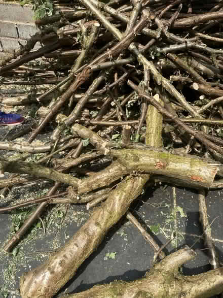 Photo of free Wood for drying fire shed logs (Garston, liverpool) #2
